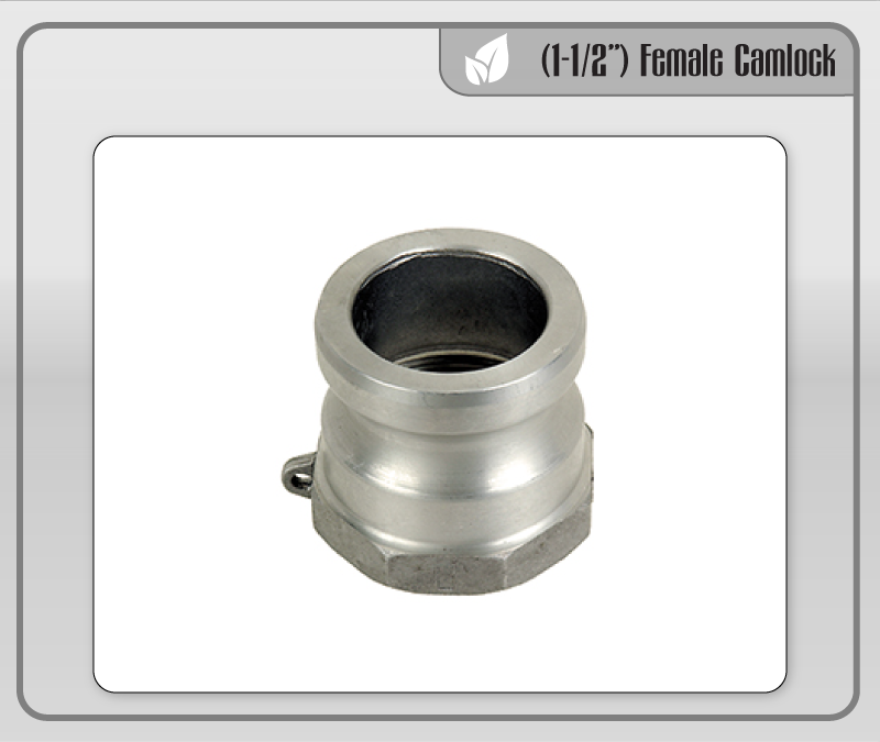 (1-1/2") Female Camlock Adapter